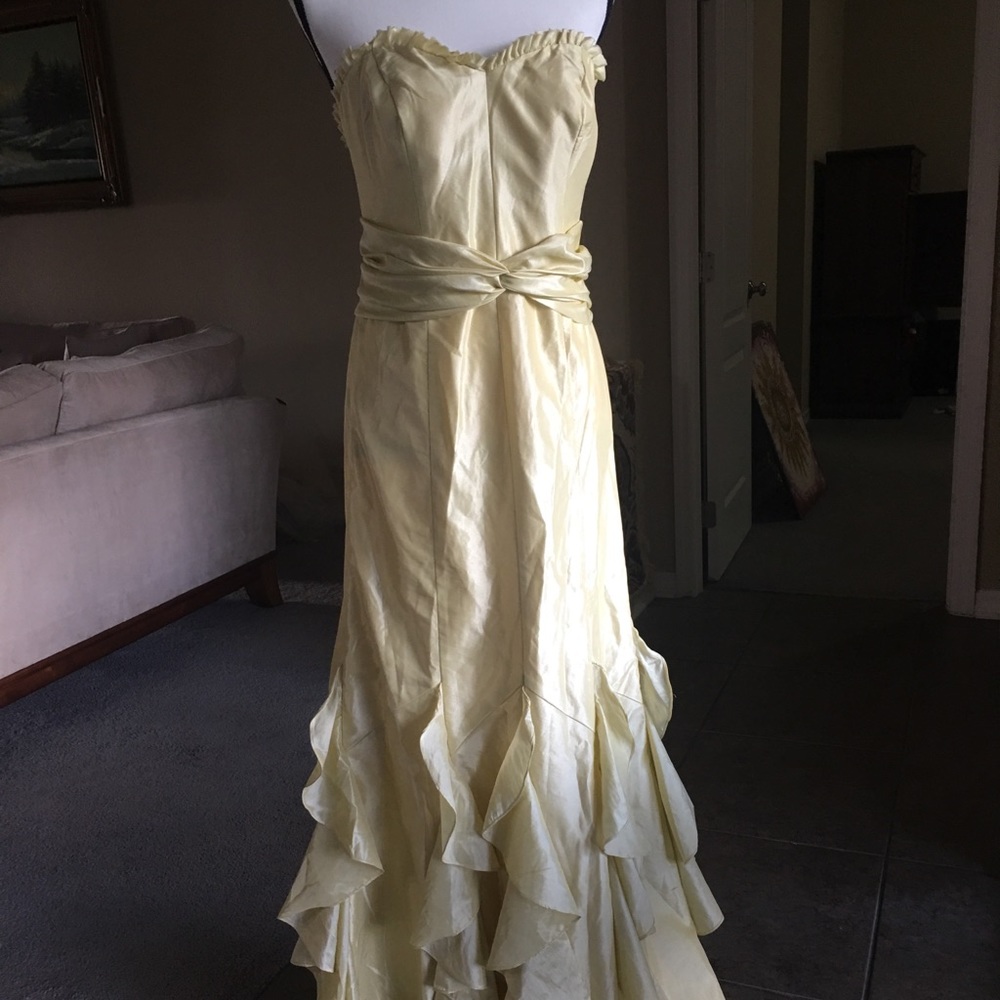 Badgley Mischka Silk Gown